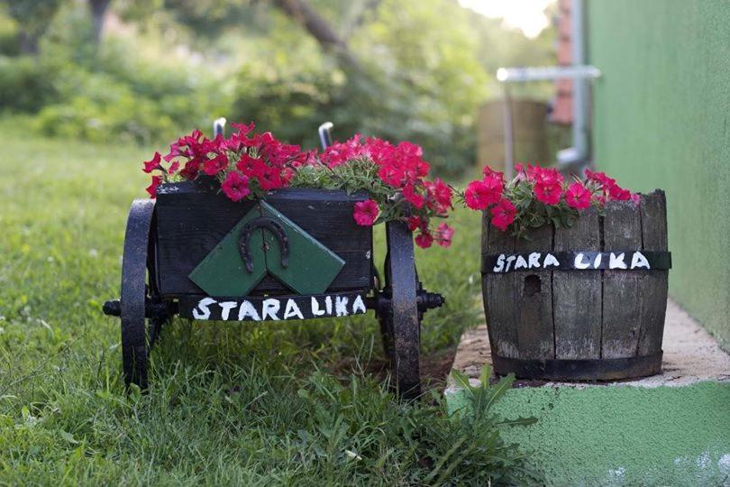 Апартаменты Ivona - Kuca Za Odmor Perusic - Stara Lika Экстерьер фото